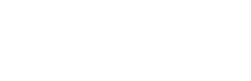 Raviv Medical